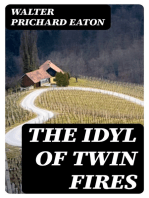 The Idyl of Twin Fires