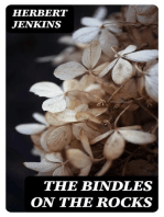 The Bindles on the Rocks