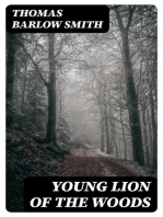 Young Lion of the Woods: Or, A Story of Early Colonial Days