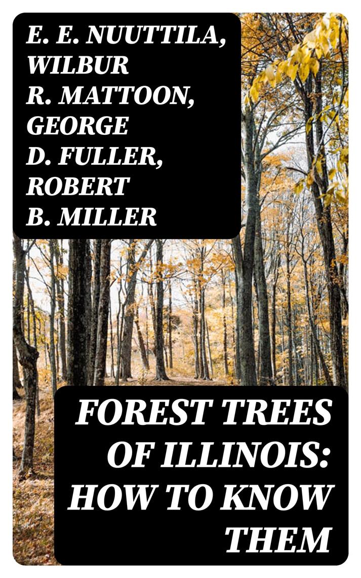 Forest Trees of Illinois: How to Know Them by E. E. Nuuttila, Wilbur R ...