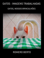 Gatos - Imagens Trabalhadas