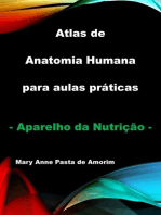 Atlas De Anatomia Humana Para Aulas Práticas - Aparelho Da Nutrição