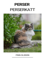 Perser (Perserkatt)