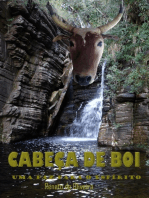 Cabeça De Boi