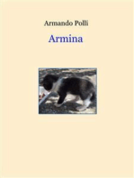 Armina