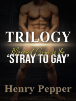 Trilogy-Married Guys Who ‘Stray to Gay’