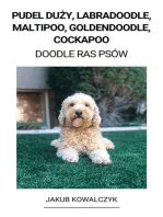 Pudel Duży, Labradoodle, Maltipoo, Goldendoodle, Cockapoo (Doodle Ras Psów)