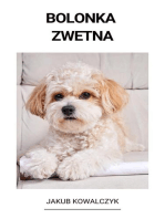 Bolonka Zwetna