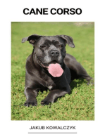 Cane Corso