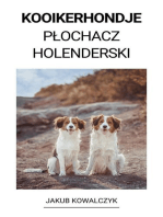 Kooikerhondje (Płochacz Holenderski)