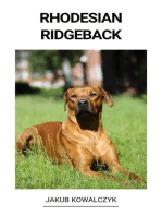 Rhodesian Ridgeback