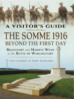 The Somme 1916—Beyond the First Day