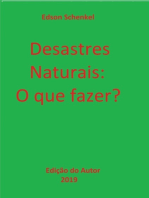 Desastres Naturais: O Que Fazer?