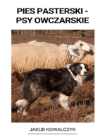 Pies Pasterski - Psy Owczarskie