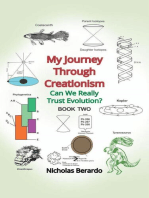 My Journey Through Creationism