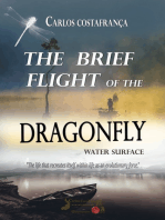 The Brief Flightf The Dragonfly