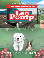 The Adventures of Leo Pomp: The Pup of Luck
