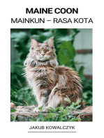 Maine Coon (Mainkun – Rasa Kota)