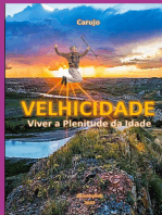 Velhicidade