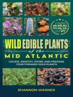 Wild Edible Plants of the Mid-Atlantic: Foraged Finds in the USA