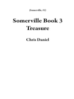 Somerville Book 3 Treasure