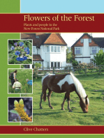 Flowers of the Forest: Plants and People in the New Forest National Park