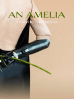 An Amelia : A Modern Twist Pride and Prejudice