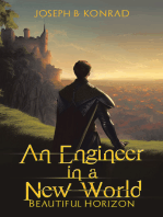 An Engineer in a New World: Beautiful Horizon