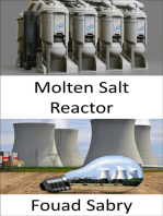 Molten Salt Reactor: Rethinking the fuel cycle in the future of nuclear power?