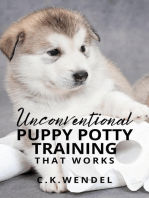Unconventional Puppy Potty Training That Works