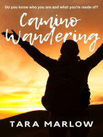 Camino Wandering