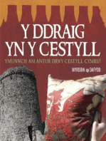 Ddraig yn y Cestyll, Y