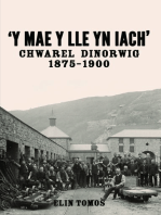 Y Mae y Lle yn Iach' - Chwarel Dinorwig 1875-1900