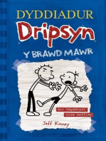 Dyddiadur Dripsyn