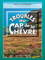 Troubles au Cap de la Chèvre: Enor Berigman Enquête N°5