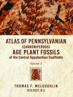 Atlas Of Pennsylvanian (Carboniferous) Age Plant Fossils of the Central Appalachian Coalfields: Volume 2