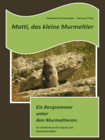 Matti, das kleine Murmeltier: Ein Bergsommer unter den Murmeltieren.