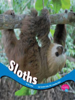 Sloths