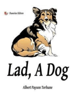 Lad, A Dog