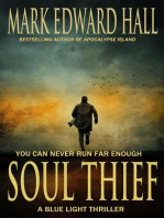 Soul Thief: Blue Light Series, #2