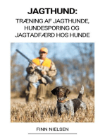 Jagthund