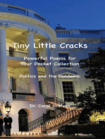 Tiny Little Cracks:Powerful Poems for Your Pocket Collection