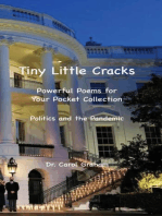 Tiny Little Cracks:Powerful Poems for Your Pocket Collection: Politics and the Pandemic