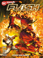 Flash - Bd. 2 (3. Serie)