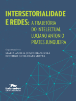 Intersetorialidade e redes: A trajetória do intelectual Luciano Antonio Prates Junqueira