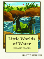 Little Worlds of Water: An Early Reader