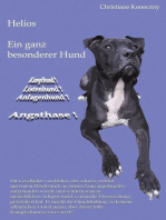 Helios: Ein ganz besonderer Hund