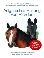 Artgerechte Haltung von Pferden: Sachverständige Empfehlungen zur Pferdehaltung aus Sicht des Tierschutzes