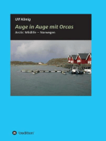 Auge in Auge mit Orcas: Arctic Wildlife - Norwegen