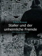 Staller und der unheimliche Fremde